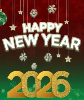 Mr. Frog Pub Bistro Bursa Yılbaşı Programı 2026