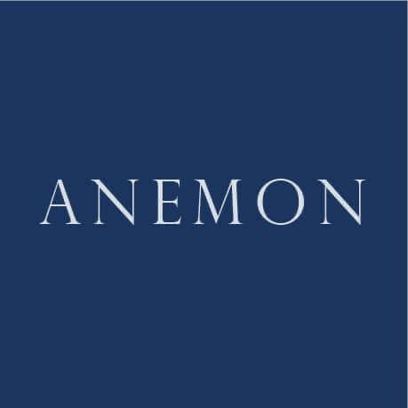 Anemon Otel Ankara