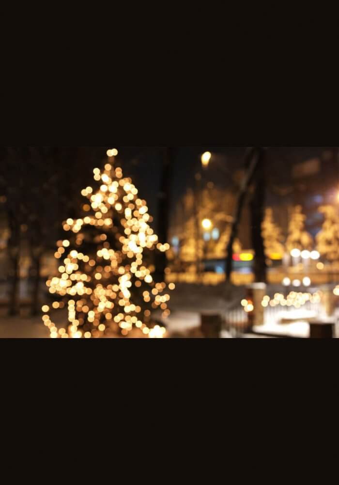 Mövenpick Hotel İzmir Yılbaşı Programı 2018
